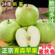 日引種本青森水蜜桃王林明月蘋(píng)果青蘋(píng)果脆甜王琳雀斑玉林維納斯 5斤大果【80-85mm】【12個(gè)以?xún)取? title=