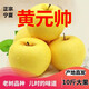 創(chuàng  )原力態(tài)寧夏原生態(tài)黃元帥蘋(píng)果黃蕉蘋(píng)果老幼兒食物新鮮水果奶油黃金帥蘋(píng)果 黃色 寧夏黃元帥五斤裝【特級大果】