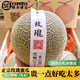 捌零鮮生物語【順豐】正宗玫瓏蜜瓜 哈密瓜 年貨節(jié) 水果禮盒裝 2粒普通裝（凈4-4.5斤）
