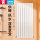 億潤(rùn)暖氣片家用水暖壁掛式換熱器過水即熱式水暖廚房衛(wèi)生間暖氣片 8片帶兩根毛巾彎* 1200mm