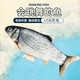 洛瑞夫電動(dòng)魚(yú)玩具貓玩具發(fā)光閃光自動(dòng)逗貓跳跳魚(yú)仿真魚(yú)貓咪玩具自嗨 電動(dòng)鯉魚(yú)-350毫安充電升級版 25-30cm左右（長(cháng)帶拉鏈）