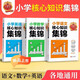 套裝3冊 王朝霞小學核心知識集錦語文數(shù)學英語全套 小學語文數(shù)學英語基礎(chǔ)知識大盤點重點難點知識歸納梳理考點大全小升初考試總復習小升初銜接工具輔導書 王朝霞