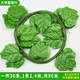 古達 仿真葡萄葉子藤條吊頂樹葉裝飾假花藤蔓綠植物塑料管道纏繞綠葉 【86米大號】3葡萄3燈籠