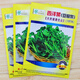 西洋菜種籽子菜苗豆瓣菜種子廣東菜種秋冬季農家四季種孑陽(yáng)臺菜籽 西洋菜種子 1000粒原裝
