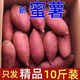 【首單直降】沙地超甜蜜薯板栗紅薯新鮮糖心蜜薯黃心薯紅心西瓜 超甜蜜薯-9斤裝中果