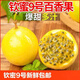 正宗黃金百香果廣西欽蜜9號(hào)純甜孕婦愛吃新鮮水果雞蛋果 【百香果熱賣榜TOP1】3斤裝 單果重量59克-85克【大果特甜】