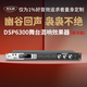 麥樂迪DSP6300卡拉ok混響器 數(shù)字音頻前級效果器 家庭影院防嘯叫調(diào)音臺處理器含話筒 調(diào)音臺均衡器 DSP6300專業(yè)K歌效果器豪華版 標(biāo)準(zhǔn)版