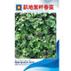 老品種矮桿香菜濃香型趴地芫荽種籽耐熱耐寒庭院四季蔬菜 趴地香菜種子 新種【原裝三包】