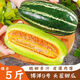 格沃斯（GEWOSI）博洋9號甜瓜香瓜蜜瓜正宗山東九號羊角蜜薄皮當季新鮮水果一整箱 5斤大果【精選裝】店長