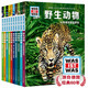 什么是什么德國少年兒童百科知識全書(shū)珍藏版 wasistwas(小學(xué)生7-10歲一年級二年級閱讀兒童科普百科全書(shū)科學(xué)知識大百科) [7-10歲] 第4輯珍藏版共10冊