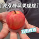 東之天地麥芽糖蘋果捏捏樂慢回彈創(chuàng)意仿真水果TPR食物軟膠解壓發(fā)泄玩具 紅蘋果捏捏樂【2個裝】