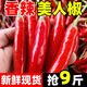 格沃斯正宗云南美人椒新鮮采摘產(chǎn)地直發(fā)剁椒紅椒整箱包郵批發(fā)價(jià) 美人椒凈重【精細挑選】5斤