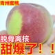 夢(mèng)茜兒順豐 山東青州蜜桃 5斤冬桃冬雪蜜脆甜毛桃孕婦水果新鮮應季特大 5斤大果【4-6個(gè)/每斤】普快 A級品質(zhì)果 脆甜多汁