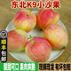 風(fēng)車車農(nóng)場(chǎng)【順豐】東北沙果 K9小沙果 花紅果 海棠果 當(dāng)季新鮮水果 5斤