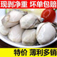 鮮活現剝現發(fā)生蠔肉不帶殼鮮活大生蠔新鮮海蠣子 5盒 贈芥末醬