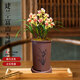 劉閣蘭花蘭花建蘭富山奇蝶濃香時(shí)令花卉盆栽 4苗帶花苞配棕色圓盆源頭直發(fā)