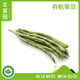 北菜園 有機(jī)架豆 豆角 250g  有機(jī)新鮮蔬菜 架豆角 生鮮