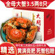 【活蟹】臻原生大閘蟹鮮活螃蟹現貨海鮮水產(chǎn)生鮮河蟹類(lèi)禮盒 全母蟹：3.5-3.8兩(8只）