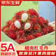 裕農(nóng)叔【JD順豐速發(fā)】越南紅毛丹進(jìn)口水果新鮮毛荔枝京鮮孕婦鮮果應(yīng)季 1000g凈重裝（顆顆精選） 商超A+級大果