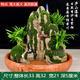 舒佩  室內(nèi)桌面假山盆景流水?dāng)[件真實(shí)山水植物石頭造景霧化 辦公室 廬山瀑布-羅漢松版