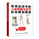 體育運動(dòng)中的人體骨骼與關(guān)節彩色解剖圖譜