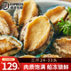鮮拔頭籌 青島鮮活大鮑魚(yú)海捕 大號(hào)鮑魚(yú)鮮活冷凍生鮮貝類(lèi)火鍋燒烤特大鮑魚(yú) 活凍特大鮑魚(yú) 凈重1500g 共24-33頭