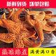 熟凍海星2-4斤 鮮活滿(mǎn)籽 大海星 海五星 海星 海鮮水產(chǎn)鮮木 海星4斤裝