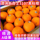 正宗澳洲新奇士黑標橙子3107大臍橙血甜進(jìn)口新鮮水果當季整箱孕婦 精選大果【5斤裝】