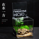 植季苔蘚微景觀(guān)生態(tài)雨林缸造景辦公桌面植物盆景成品發(fā)貨生態(tài)瓶送禮物 （可養小螃蟹）在水一方