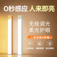 腓立比智能感應(yīng)燈帶燈條無線櫥柜廚房充電免布線人體感應(yīng)衣柜燈小夜燈 兩只裝20cm感應(yīng)燈-白光