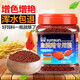 森森魚食地圖血鸚鵡專用糧不渾水增紅龜糧中小顆粒魚飼料 1000g鸚鵡飼料（2毫米） 增紅（保質(zhì)期2年）