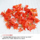 寧雪兒仿真花紅楓葉藤條裝飾花塑料假花纏繞空調(diào)管道遮擋纏繞綠葉藤蔓 36葉大紅楓葉-5條