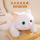 威爾通（WELTSTON）毛絨玩具玩偶抱枕布偶布娃娃送女友生日禮物女生 仿真白貓咪公仔