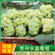青櫻紅荔【順豐直達(dá)】正宗貴州水晶葡萄綠葡萄當(dāng)季孕婦甜水果端午節(jié)青提子 精選 5斤 【超值裝】 (安全氣柱包裝-順豐送貨上門)