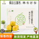 隰縣玉露香梨原產(chǎn)地山西隰縣玉露香梨正宗臨汾甜梨新鮮酥脆甜多汁當季水果禮盒 【大果】8斤 15顆  單果280-330g 甄選多汁香梨