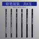馬利牌 素描筆繪畫(huà)鉛筆初學(xué)者美術(shù)生專(zhuān)用2B4B6B硬筆書(shū)法書(shū)寫(xiě)鉛筆 素描6支：2B*2+4B*2+6B*2 （馬利授權店 正品保證）