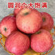 格沃斯（GEWOSI）正宗喬納金蘋(píng)果現摘現發(fā)新果水果應季粉面刮泥蘋(píng)果整箱 3斤裝小果（嘗鮮裝）