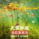 派樂特 魚缸造景裝飾水草種子水族箱 碗蓮種子10粒