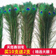 素樹家居 天然孔雀羽毛真孔雀毛裝飾花瓶專用屏風(fēng)用孔雀翎尾大眼睛婚慶 70-80厘米眼寬4-6厘米12支