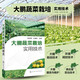 大棚蔬菜栽培實(shí)用技術(shù) 蔬菜種植技術(shù)大全書(shū) 棚室蔬菜栽培全書(shū) 黃瓜辣椒高效栽培 棚室健康種植書(shū)籍 大棚田間管理施肥技術(shù) 大棚瓜果蔬菜栽培技術(shù)大全書(shū)