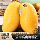 青惠悠云南鷹嘴芒果緬甸雞蛋鉆石芒保山特產(chǎn)時(shí)令水果圣德龍覃斗禮盒裝 鷹嘴芒果3斤【中小果100g+】