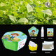 流彗綠豆芽觀察實驗diy種植盆栽幼兒園小學手工禮品植物發(fā)芽觀察作業(yè)植物開心農(nóng)場 觀察實驗盒子-綠豆 DIY水培種植玩具