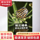 常見(jiàn)椿象野外識別手冊 王建赟,陳卓 著(zhù) 重慶大學(xué)出版社 書(shū)籍 圖書(shū)