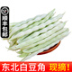 辰實東北白豆角（發(fā)順豐）新鮮蔬菜白不老蕓豆角 白大架豆角 現(xiàn)摘 3斤