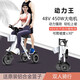 Ynbpno逸般48V新款可帶人折疊式便攜輕便迷你輕型簡(jiǎn)易休閑旅行電動(dòng)代步車(chē)P 大號48V/科技灰/雙人騎行+后藍子