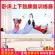 德威諾（DEWEINUO）康復訓練腳踏車電動老人床上下肢中風偏癱手腳腿部自行車健身器材 815四肢聯(lián)動同步電動腳踏車