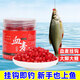 蒙太一 釣魚(yú)餌料野釣血麥餌料 鯽魚(yú)餌黑坑 鯉魚(yú)草魚(yú)餌料打窩腥香羅非魚(yú) 買(mǎi)2送1 【共3瓶】更多客戶(hù)選