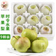 宋玉今蘋果梨當(dāng)季新鮮水果禮盒大果皮薄多汁延邊龍井特產(chǎn)水果梨現(xiàn)摘現(xiàn)發(fā) 蘋果梨9果5斤左右*1盒