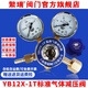 繁瑞YB12X-1T標準氣體減壓閥標氣混合氣小鋼瓶4升減壓器銅壓力表繁瑞 YB12X-1T