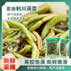 楚杏堂莼菜500g湖北恩施特產(chǎn)利川純菜新鮮馬蹄菜純菜非蘇州太湖西湖杭州 莼菜500g（固體含量50%）